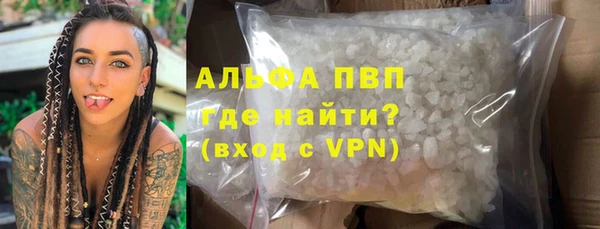 ГАЛЛЮЦИНОГЕННЫЕ ГРИБЫ Заволжье