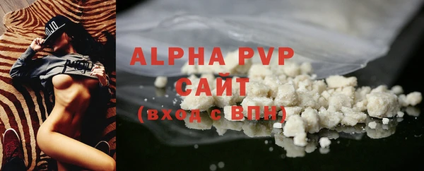 ГАЛЛЮЦИНОГЕННЫЕ ГРИБЫ Заволжье
