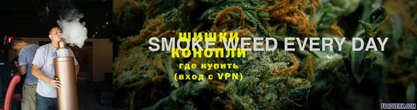 прущие грибы Заводоуковск