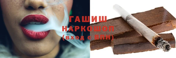 прущие грибы Заводоуковск