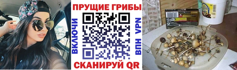 Купить  Руза  Галлюциногенные грибы Magic Shrooms 